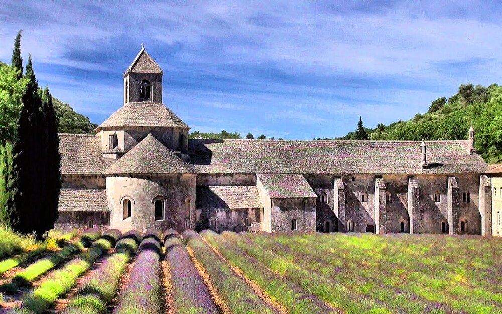 The Abbaye de Senanque standing above its lavender fields in the valley below Gordes